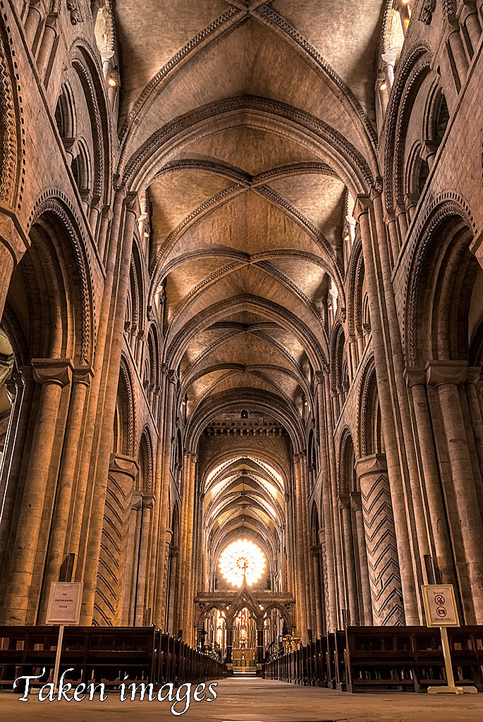 Cathedral Nave