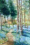 BLUEBELLS AT HARPSDEN MK3
