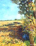 CORNFIELD