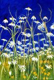 DAISIES