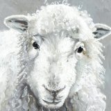 Watching Ewe