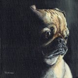 Pensive Pug