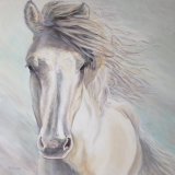 The Distinctive White Horse
