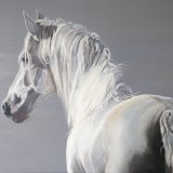 The Magnificent White Horse