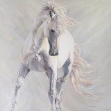 The Spirited White Horse