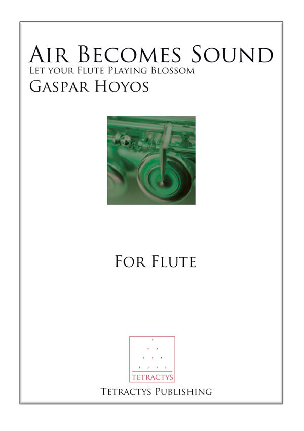 Gaspar Hoyos - Air Becomes Sound B-STOCK