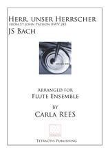JS Bach - Herr, unser Herrscher from the St John Passion