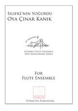 Oya Cinar Kanik - Silifke'nin Yogurdu