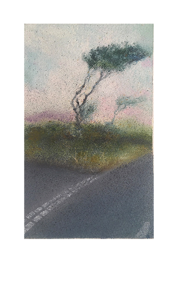 Give Way- Woolacombe