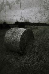 Hay bale @ White Horse Farm