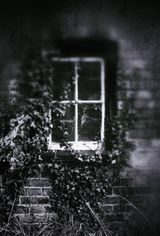 Dillywood Lane Window