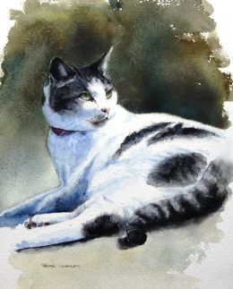 Smudge