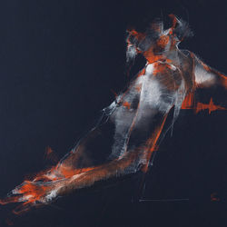 Torso D