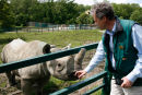 Port Lympne Rhino Translocation