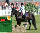 Equestrian 3