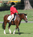 Equestrian 1 - Gage Bloxsom