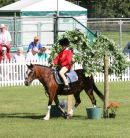Equestrian 2 - Gage Bloxsom