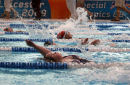 Swimming 5