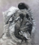 A black and white painting of a GSD Puppy