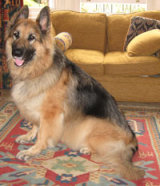 Reference photograph of Jake