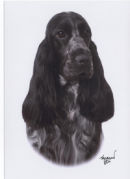 Reference photograph for Neve