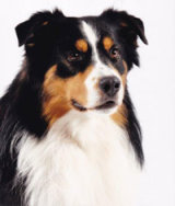 Reference photograph of Rio