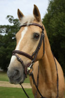Reference photograph of Zara