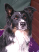 Reference photograph of Billie