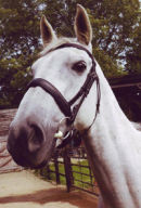 Original photograph of Bonnie