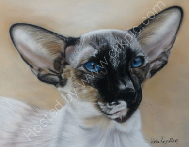 This is Celee who belonged to Frances and is sadly no longer with us.  You can read her story by clicking on her painting