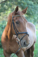 Reference photograph of Eddie