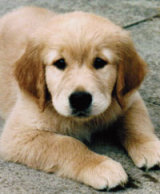 Reference photograph of Emily
