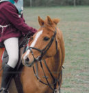 Reference photograph of Emir