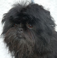 Reference photograph for Emrys