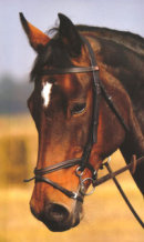 Reference photograph of Fleur