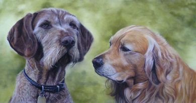 Cathy's Dogs