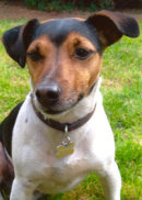 Reference photograph of Jack