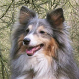 Reference photograph of Jessie