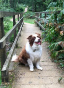 Reference photograph of Roxy