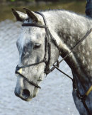 Reference photograph of Josef