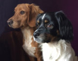 Reference photograph for Julie's rescued dogs