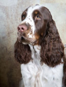 Reference photograph of Katy