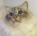 Reference photograph for Kizzy