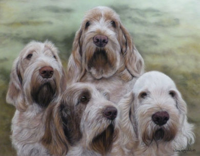 Laura's Spinones