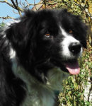 Reference photograph of Megan