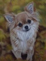 Lola