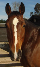 Reference photograph of Maddie