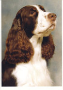 Reference photograph for Mason