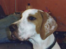 Reference photograph for Max