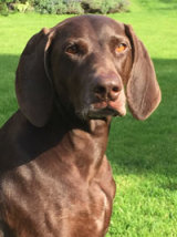 Reference photograph of Minx